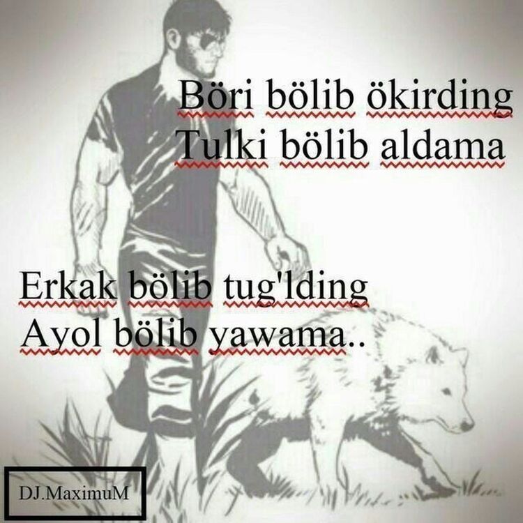  46215808  , 42 ,    