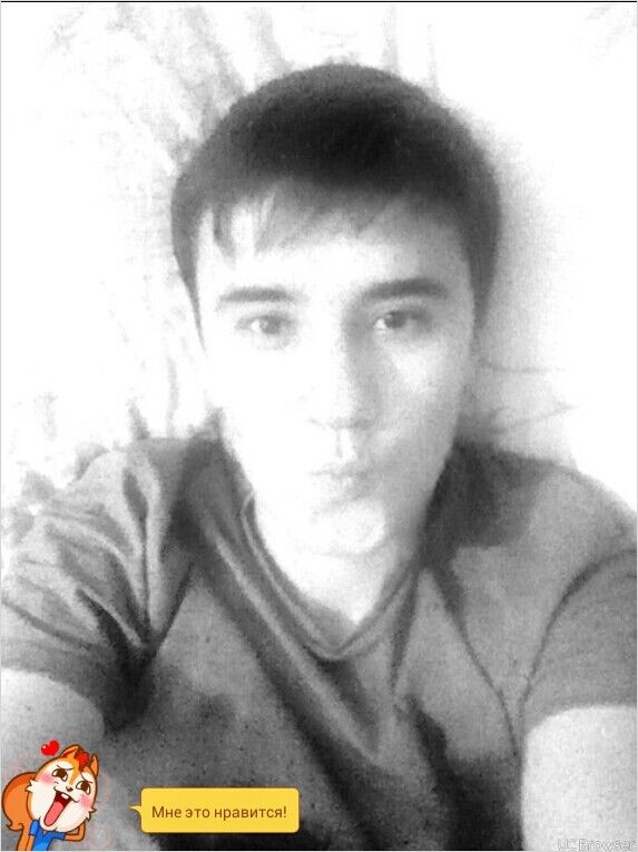  -,   , 33 ,   ,   , c 