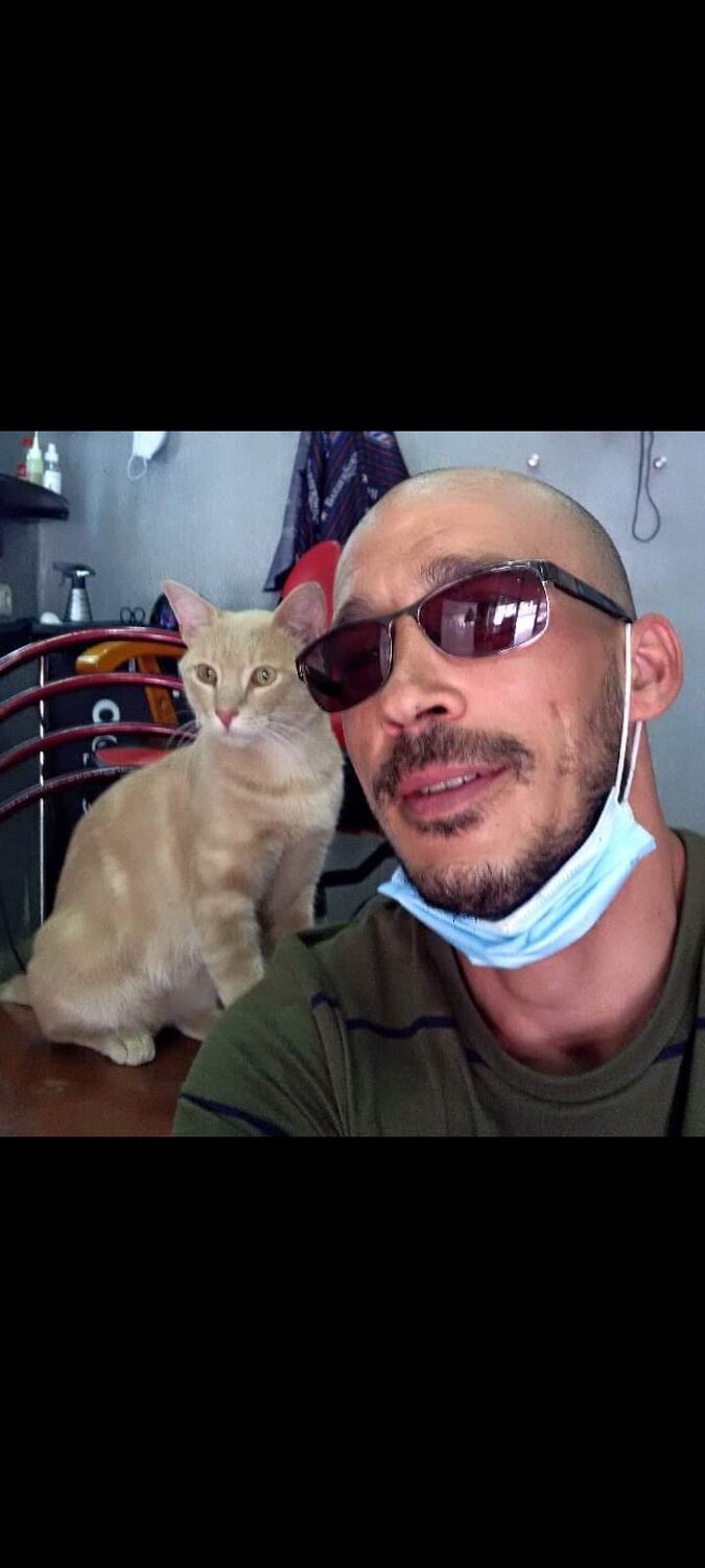 ���������� �������, ���� ������� �������, 41 ���, ������������ ��� ������, ����� � ���������