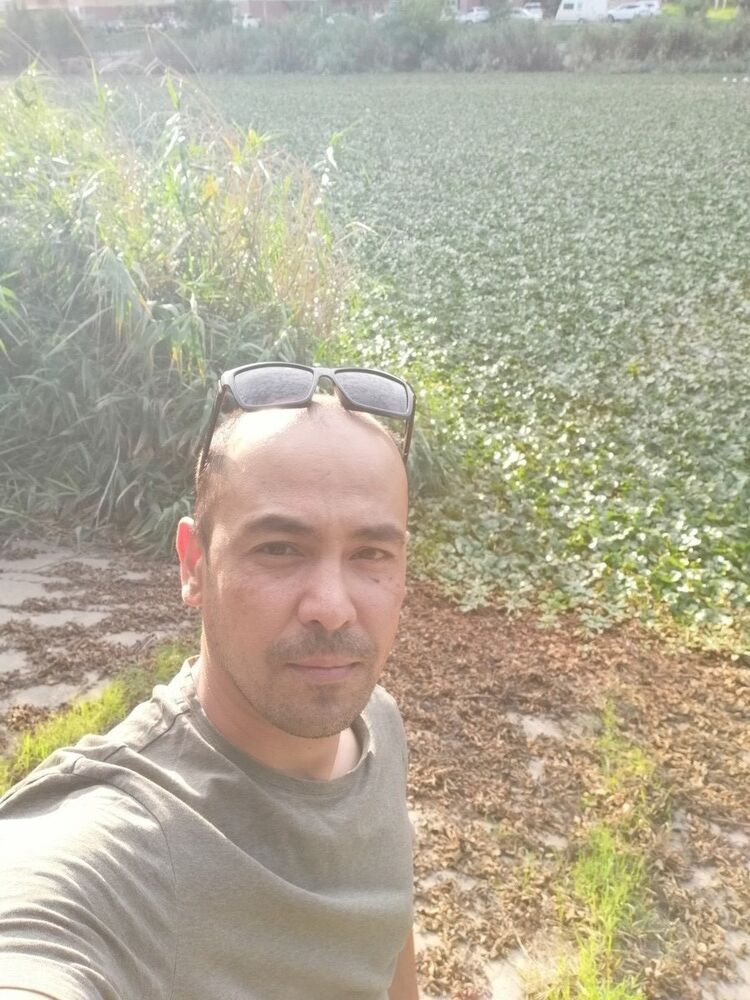 ���� 17669448 ������� �����, 45 ���, ���� ���������� � ����������