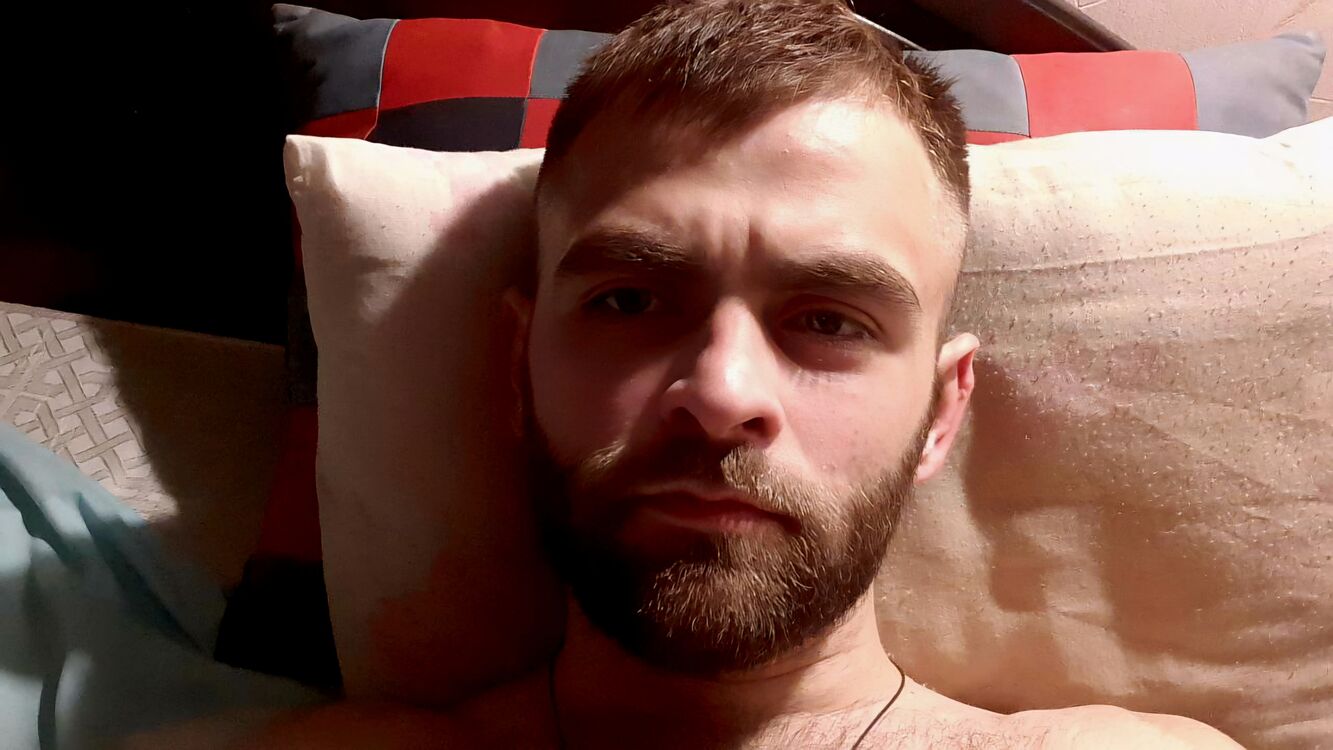 ���� 44540488 ������� ����, 31 ���, ���� ���������� � ������