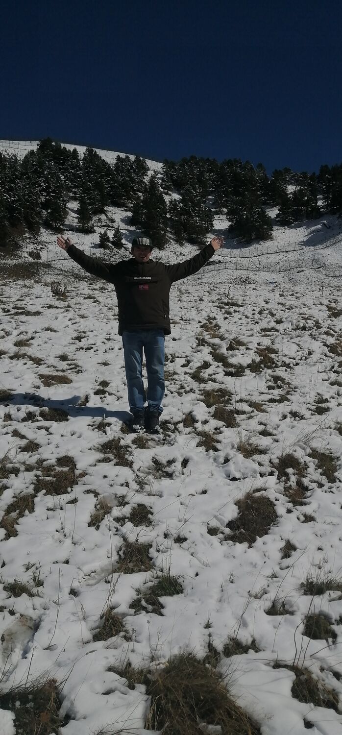 ���������� ����������, ���� ������� �����, 38 ���, ������������ ��� ������, ����� � ���������