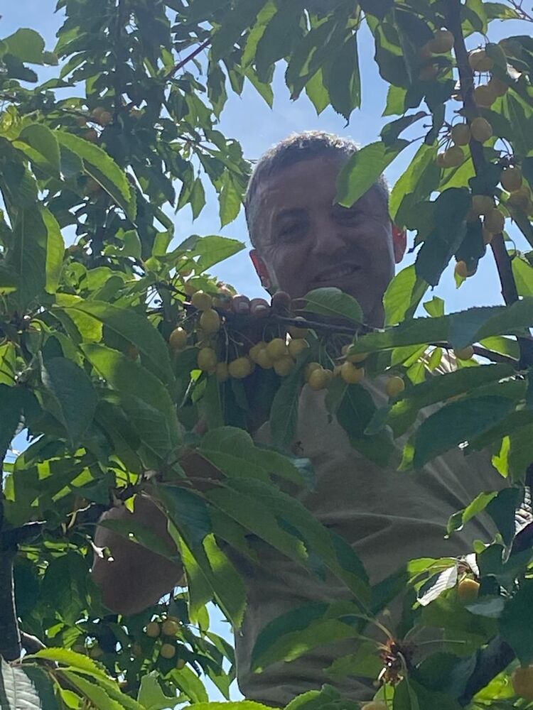  ,   , 49 ,   ,   