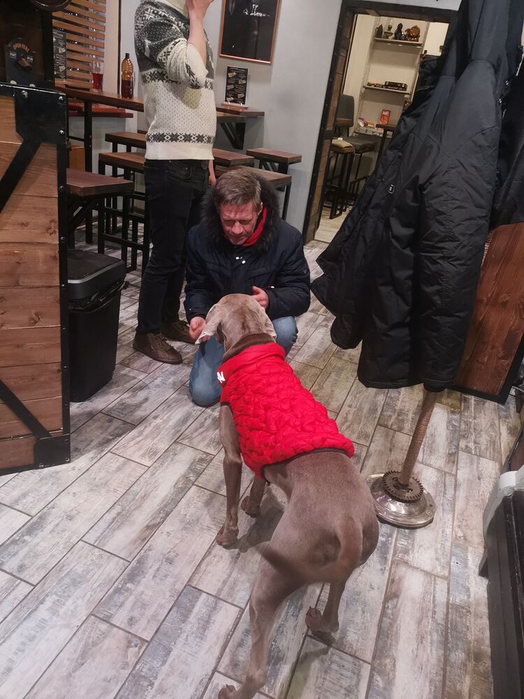 ���� 31855428 ������� �������, 55 ���, ���� ���������� � ������