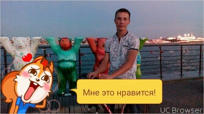 ���� 8631888 ������� �����, 36 ���, ���� ���������� � ������