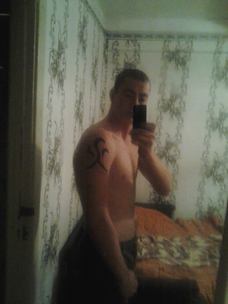  9533758  , 33 ,    