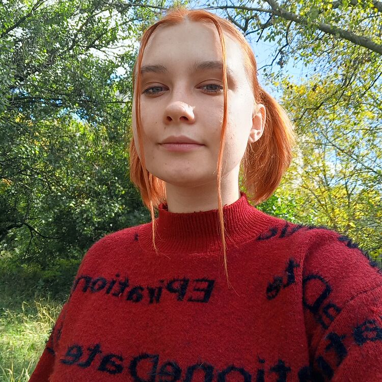  33078368  , 22 ,    