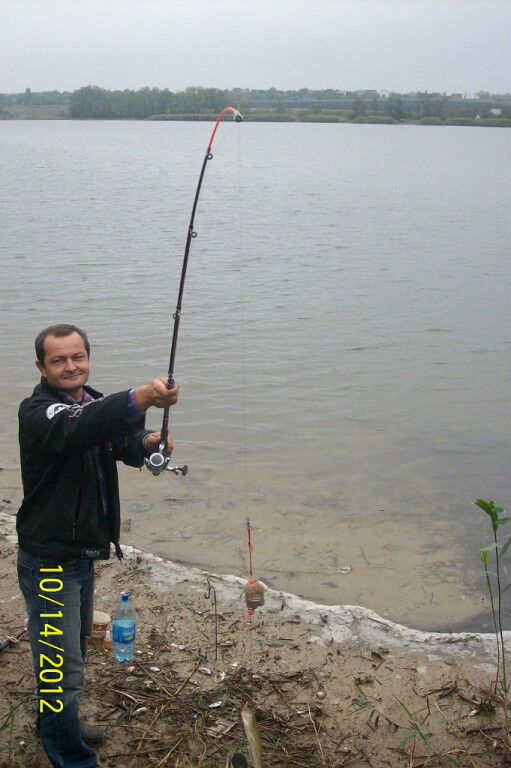  17050778  , 52 ,    