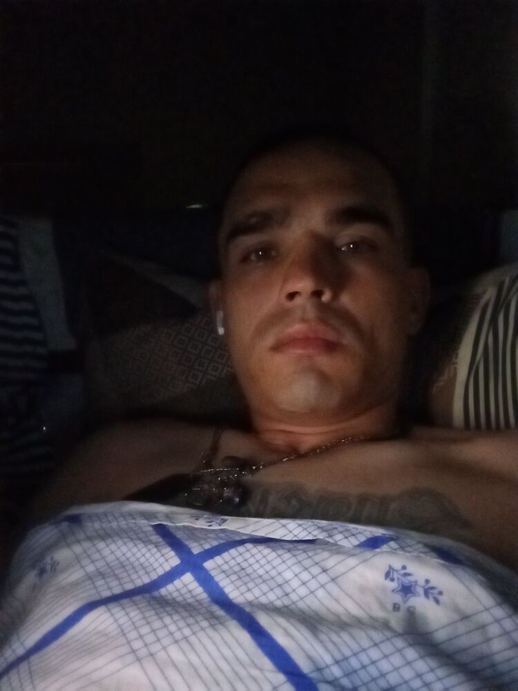 53024758  , 29 ,    