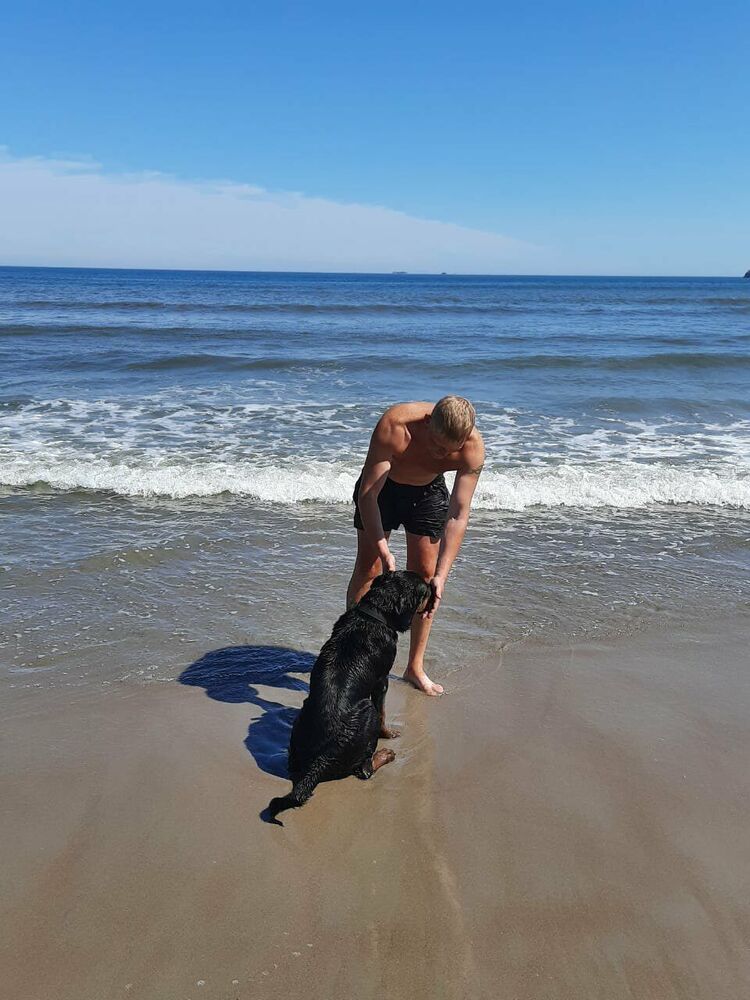 ���������� �����������, ���� ������� ������, 36 ���, ������������ ��� ������, ����� � ���������, c�������� ���������, ���������