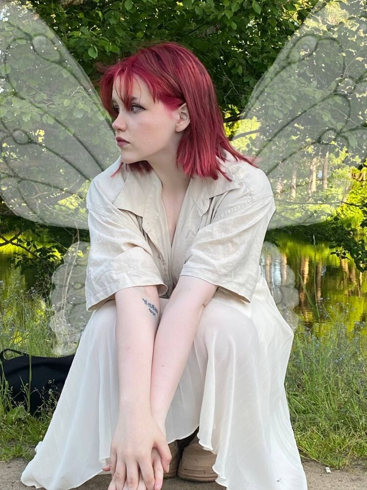  31293578  , 22 ,    -