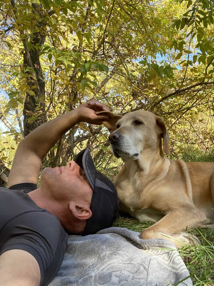 ���� 38686008 ������� ����, 44 ����, ���� ���������� � ���