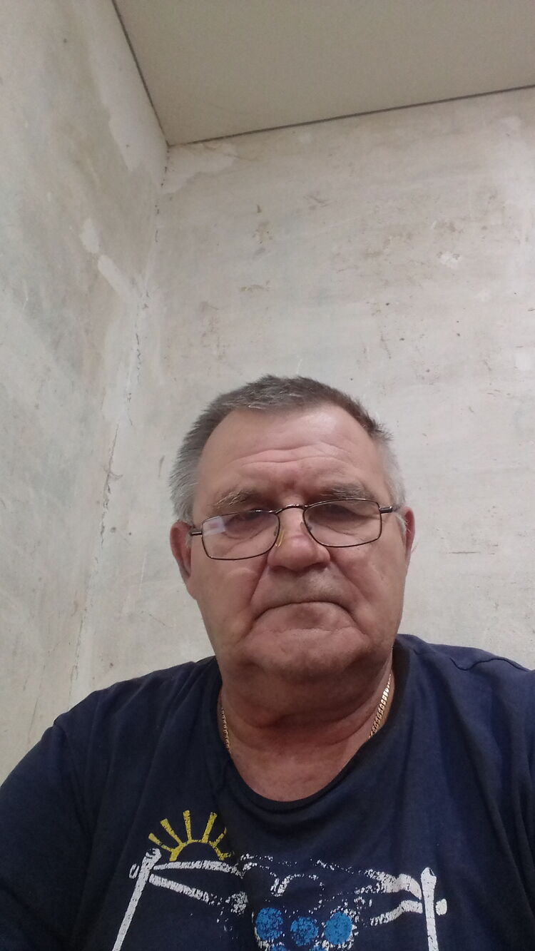  29555558  , 62 ,    