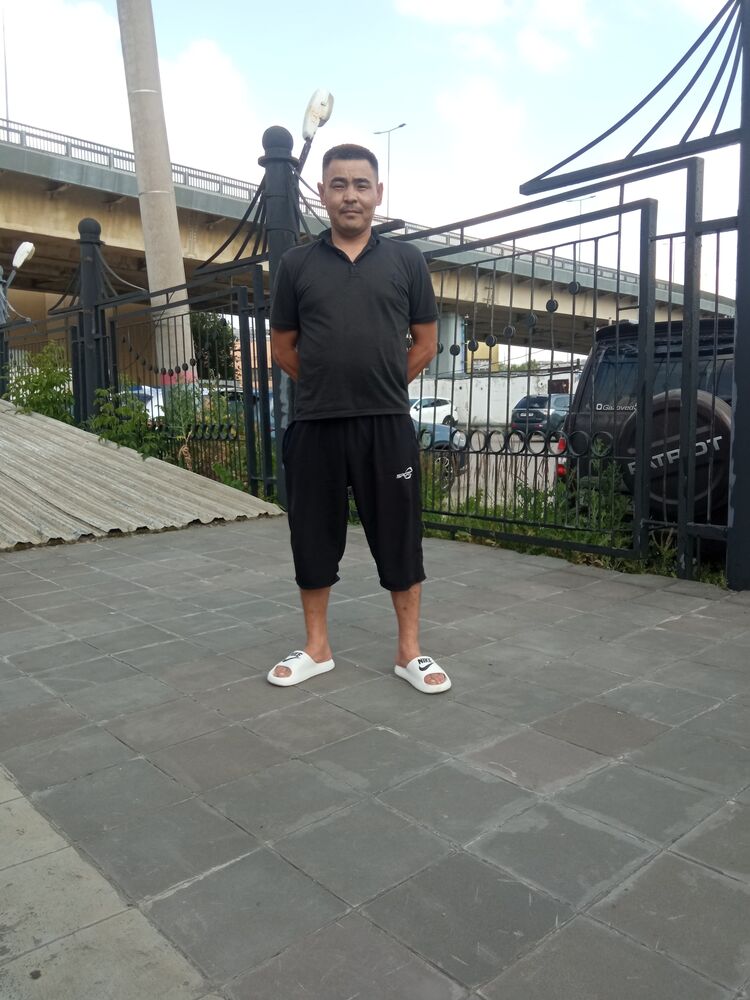  44436608  , 37 ,    