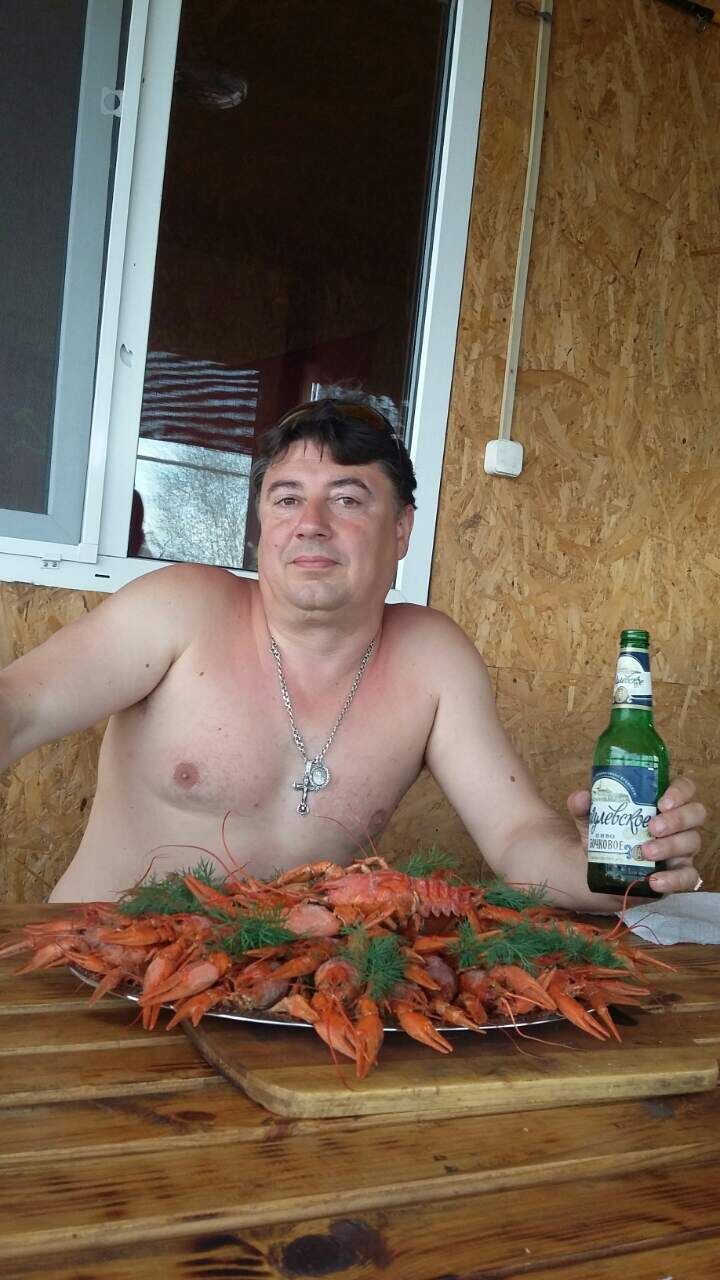  31379528  , 44 ,    