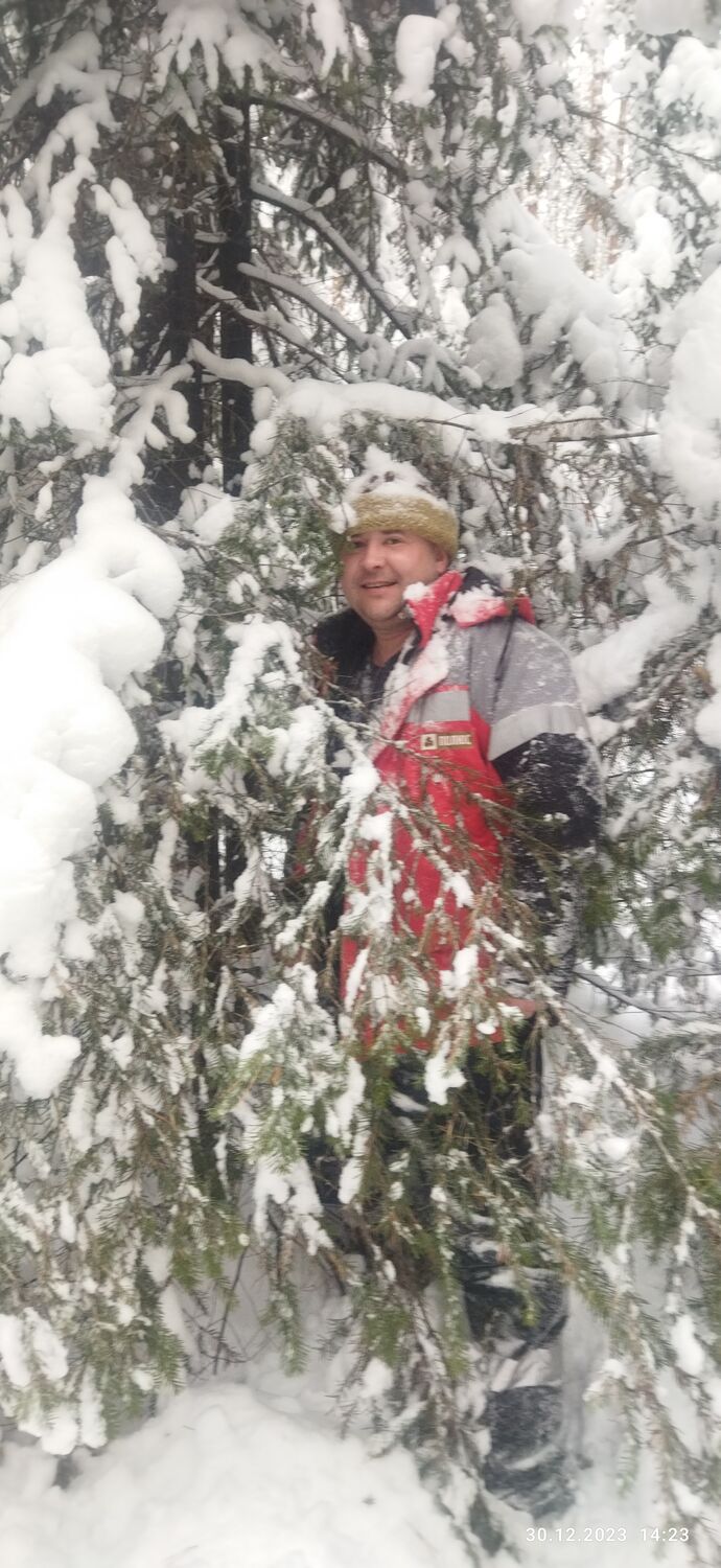 ���������� ���������, ���� ������� �������, 37 ���, ������������ ��� ������, ����� � ���������, c�������� ���������