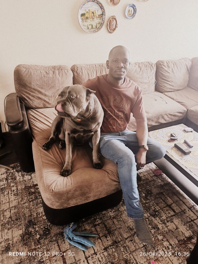 ���������� ������, ���� ������� Ibrahim, 36 ���, ������������ ��� ������, ����� � ���������