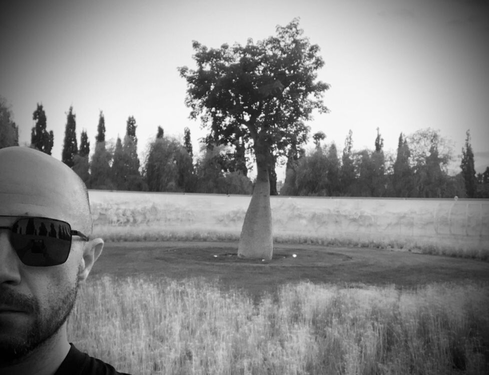 ���������� ������, ���� ������� ���������, 33 ����, ������������ ��� ������, ����� � ���������