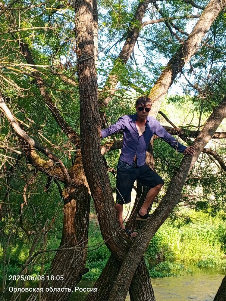 ���� 56503838 ������� �������, 33 ����, ���� ���������� � ������