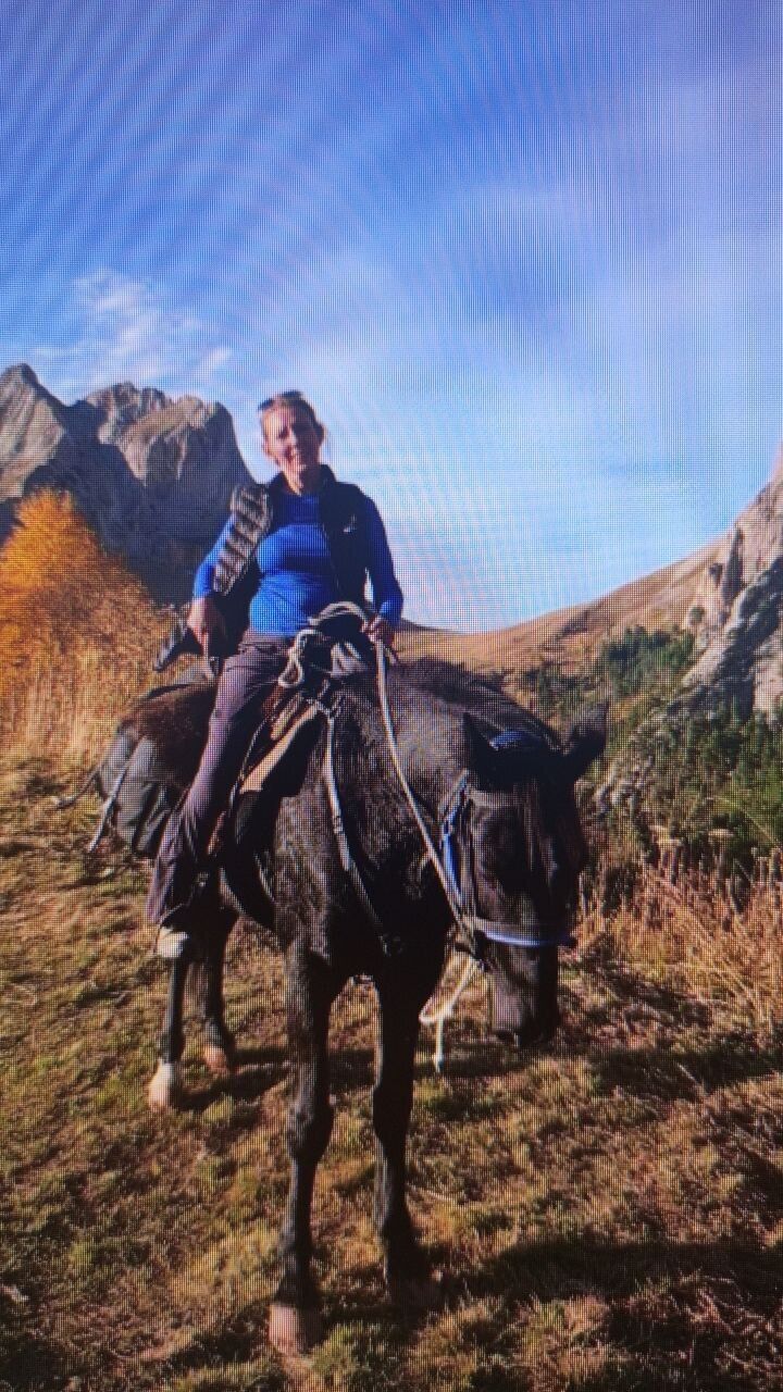 ���� 53871538 ������� ������, 53 ����, ���� ���������� � ���������