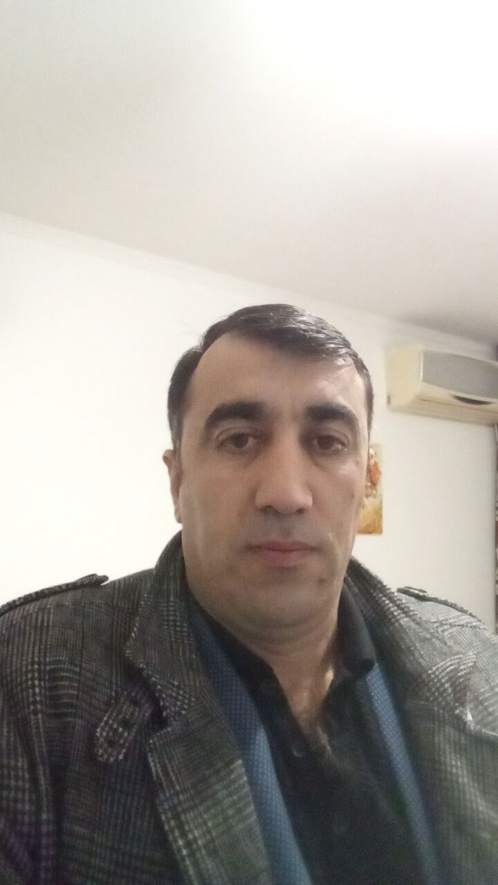  51353538  , 43 ,    