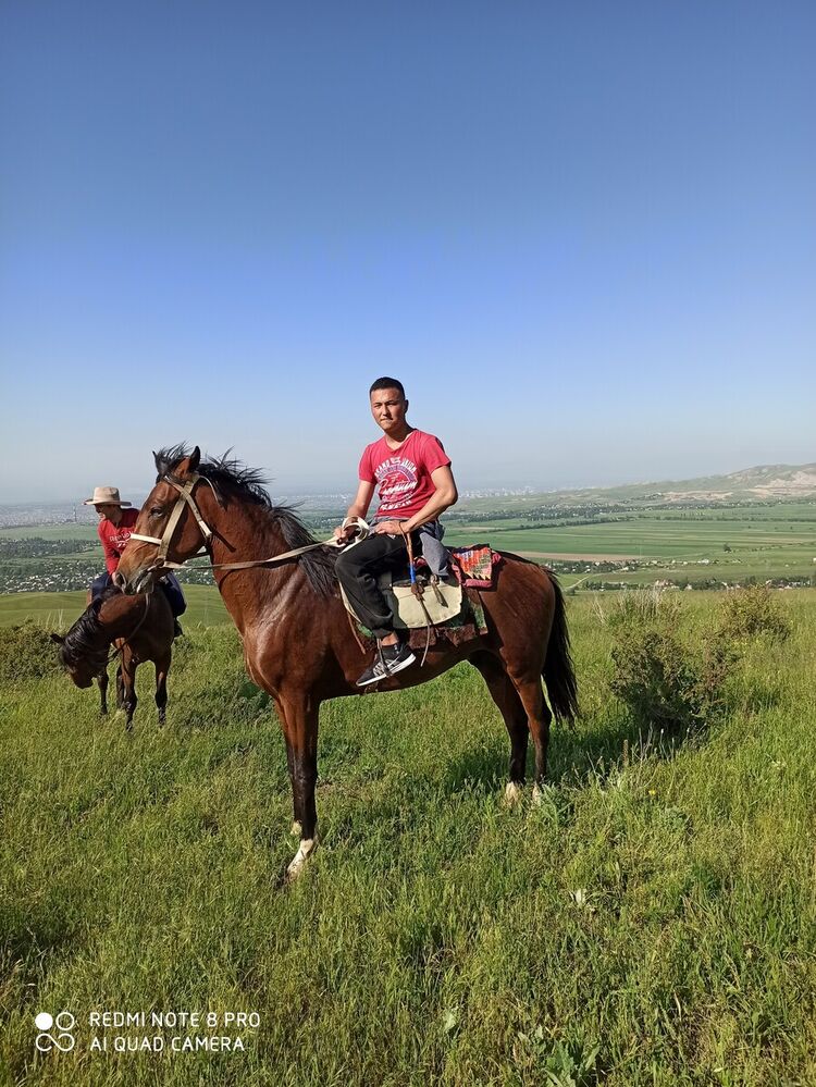 ���������� ������, ���� ������� ��������, 29 ���, ������������ ��� ������, ����� � ���������, c�������� ���������