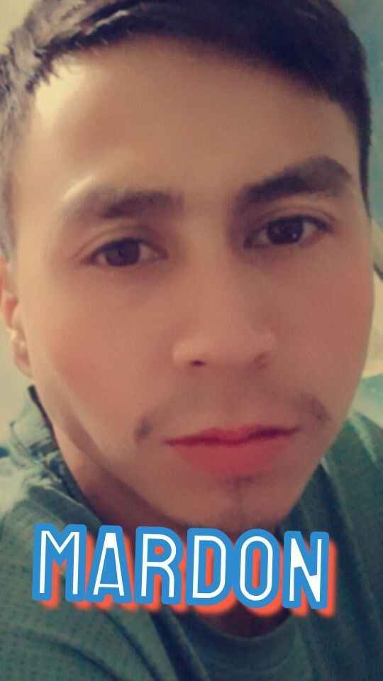 ���� 43269988 ������� Mardon, 29 ���, ���� ���������� � ��������