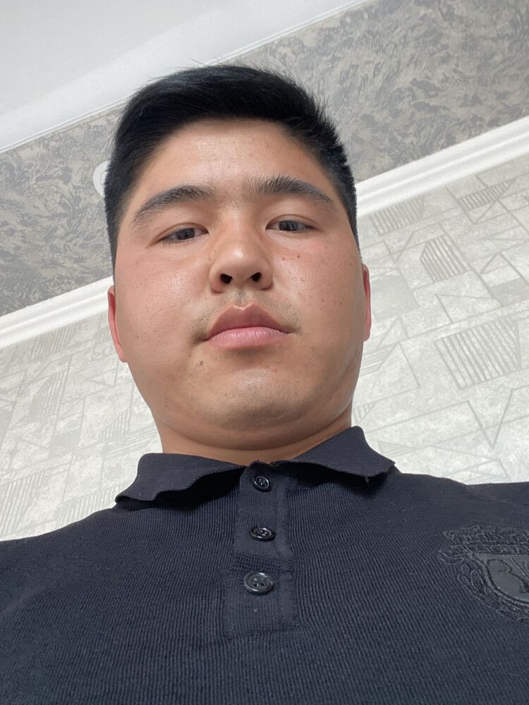  33552838  , 22 ,    