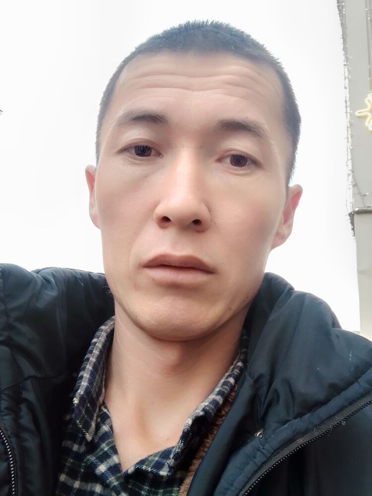  31306738  , 34 ,    -