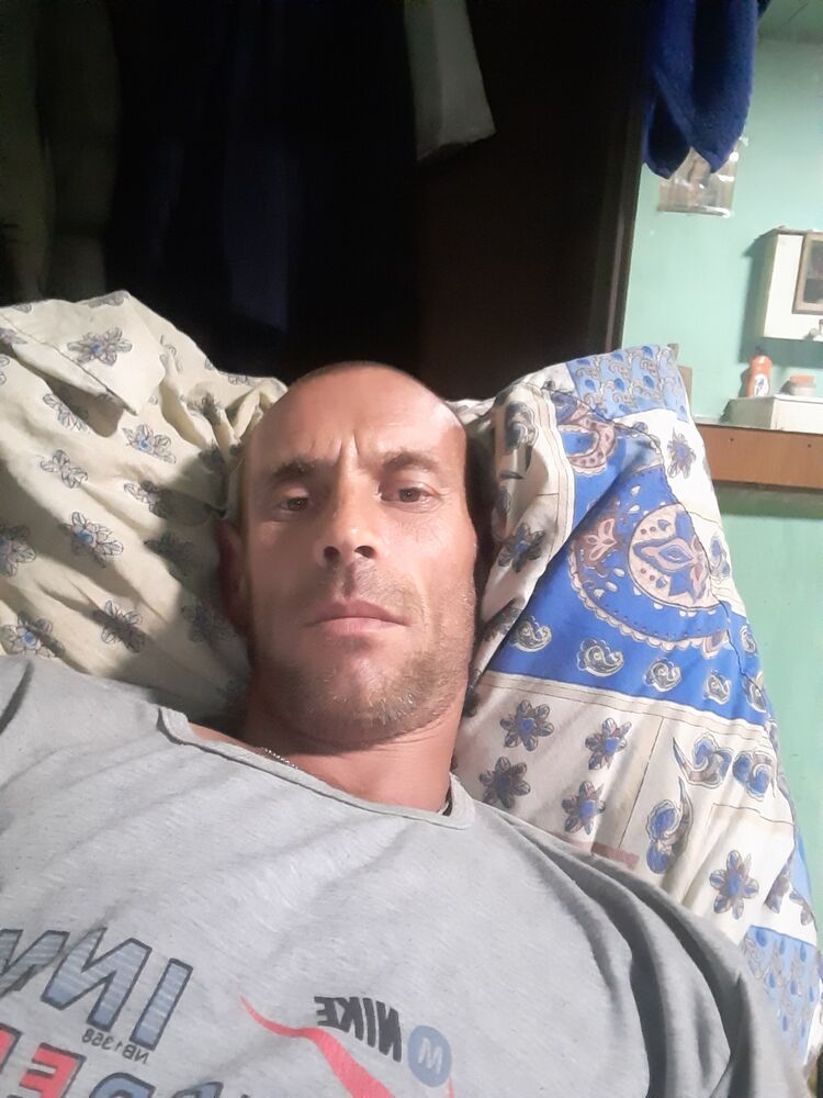  28435738  , 43 ,    