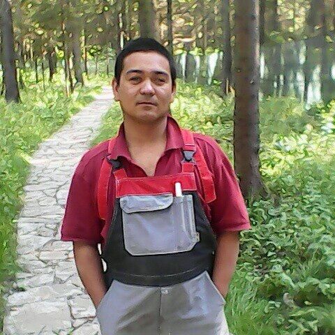 ���� 24876568 ������� ���������, 40 ���, ���� ���������� � ������