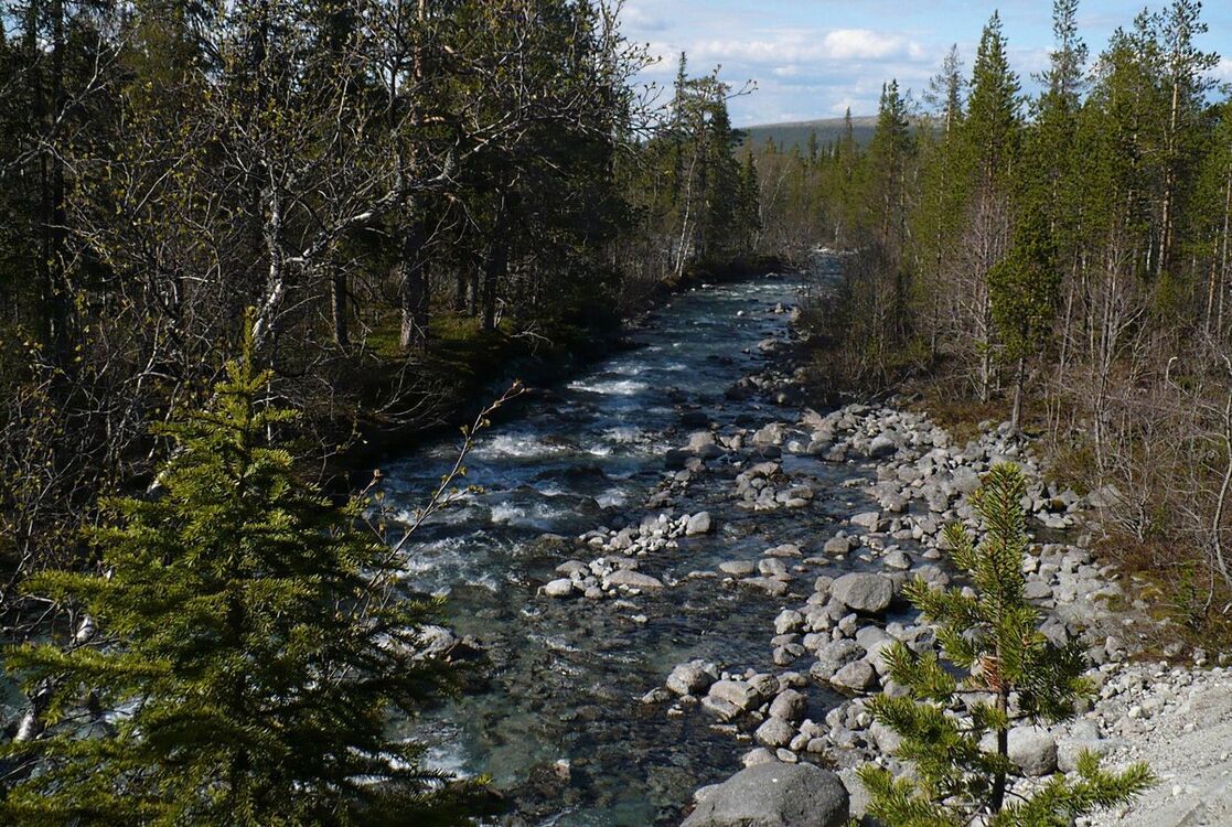 ���������� ����, ���� ������� �����, 39 ���, ������������ 