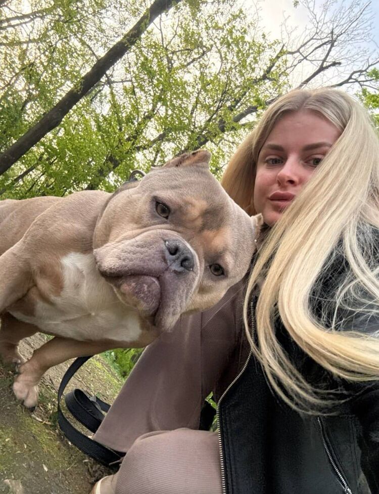 ���� 53176068 ������� ����, 42 ����, ���� ���������� � ��������