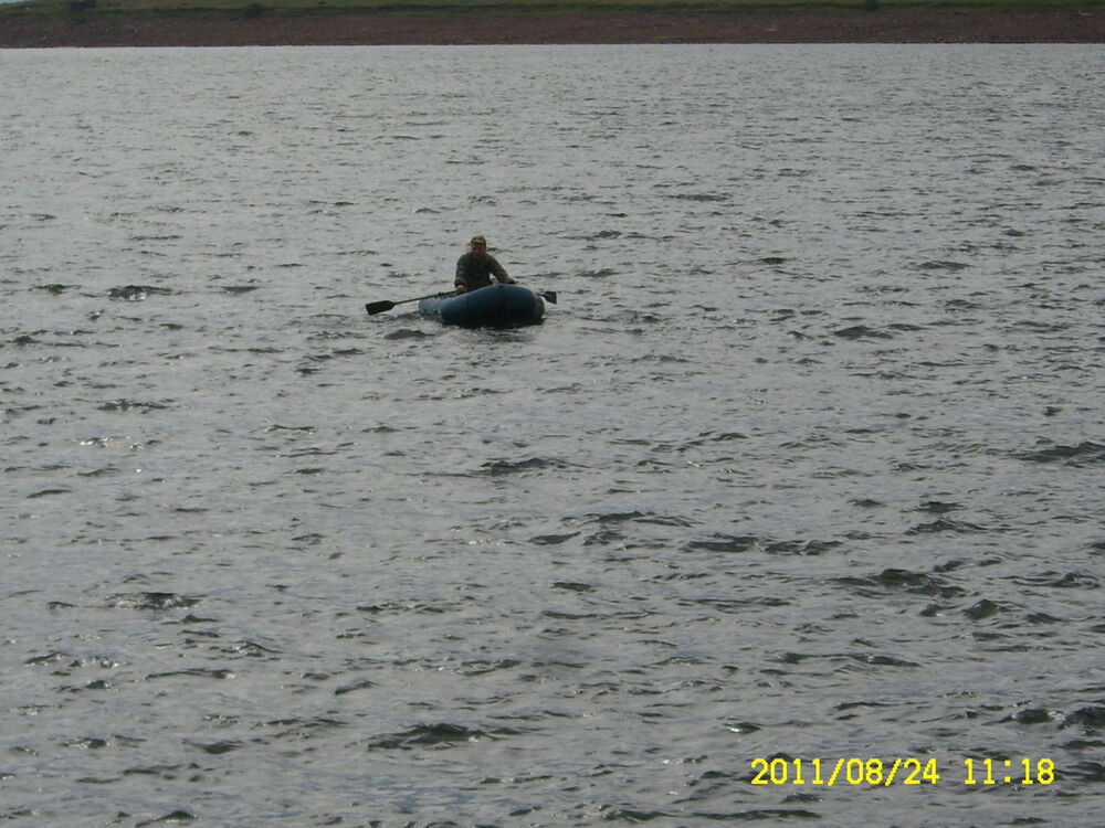  4625568  Sergey, 46 ,    