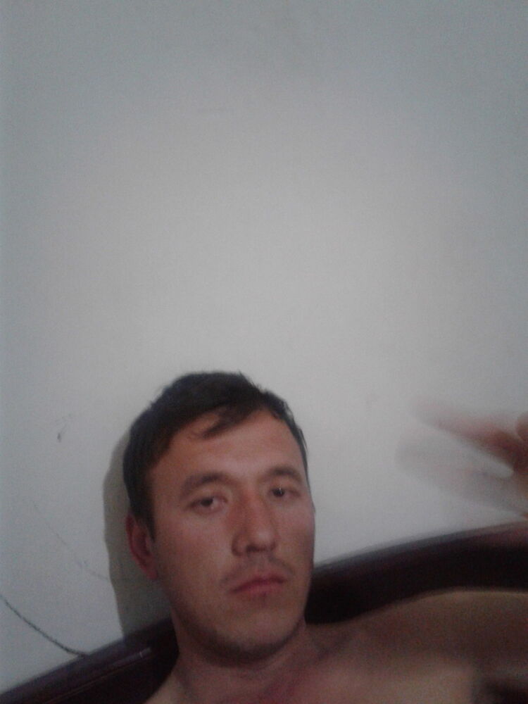 ���� 11944558 ������� Sher, 38 ���, ���� ���������� � �������