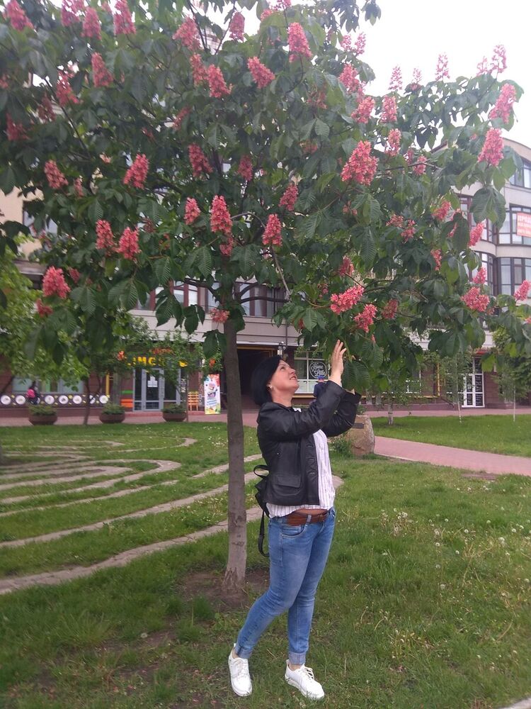 ���������� ����, ���� ������� ������, 49 ���, ������������ ��� ������, ����� � ���������, c�������� ���������