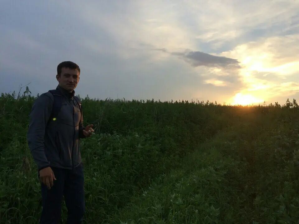  32474338  , 27 ,    