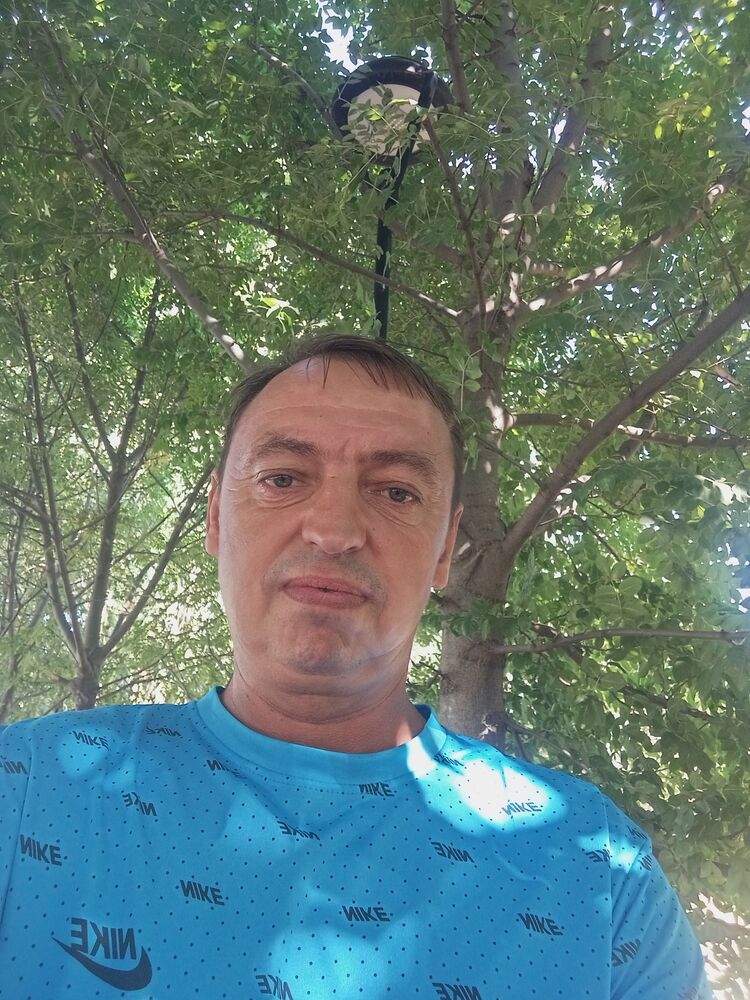  54022318  , 44 ,    --