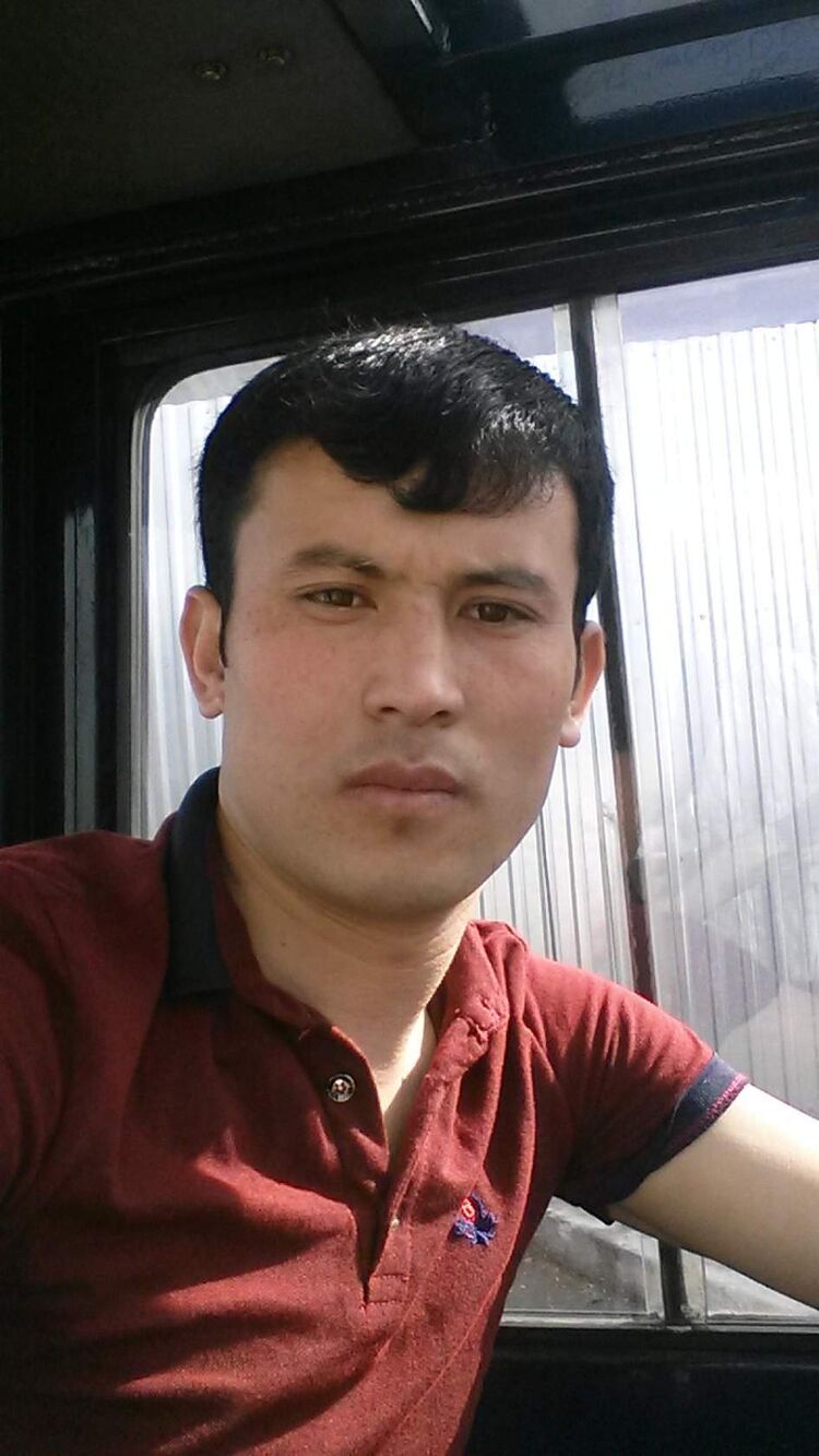  26545488  , 36 ,    