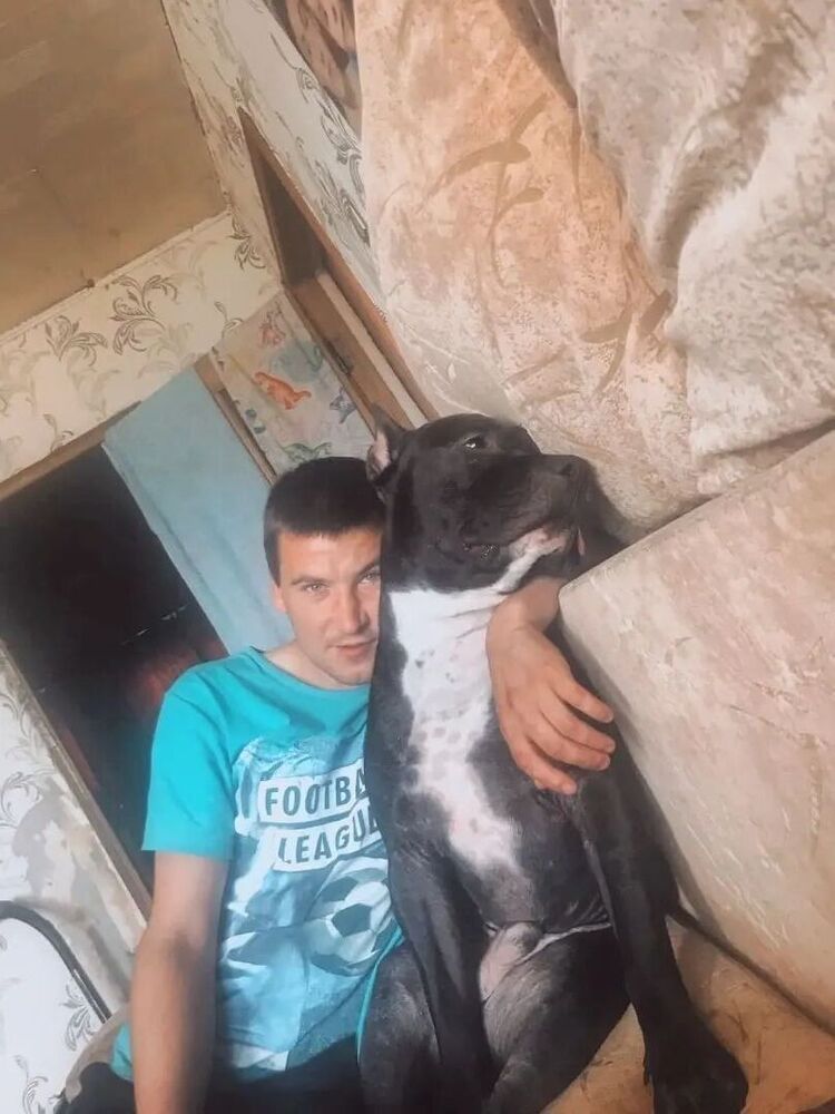  37693718  , 28 ,    -