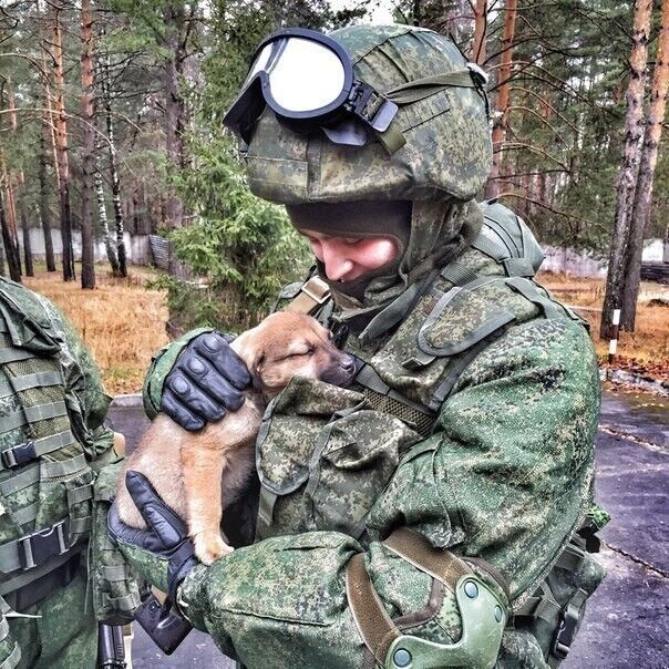 ���� 46506308 ������� �����, 34 ����, ���� ���������� � ������