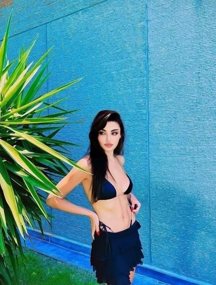  29410618  , 29 ,    --