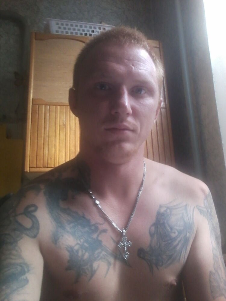 ���� 8037618 ������� Vitek, 37 ���, ���� ���������� � ���������