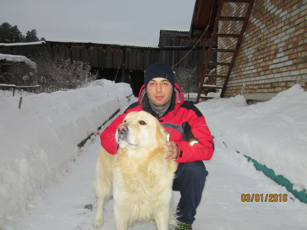 ���������� ����������, ���� ������� ������, 38 ���, ������������ ��� ������, ����� � ���������, c�������� ���������