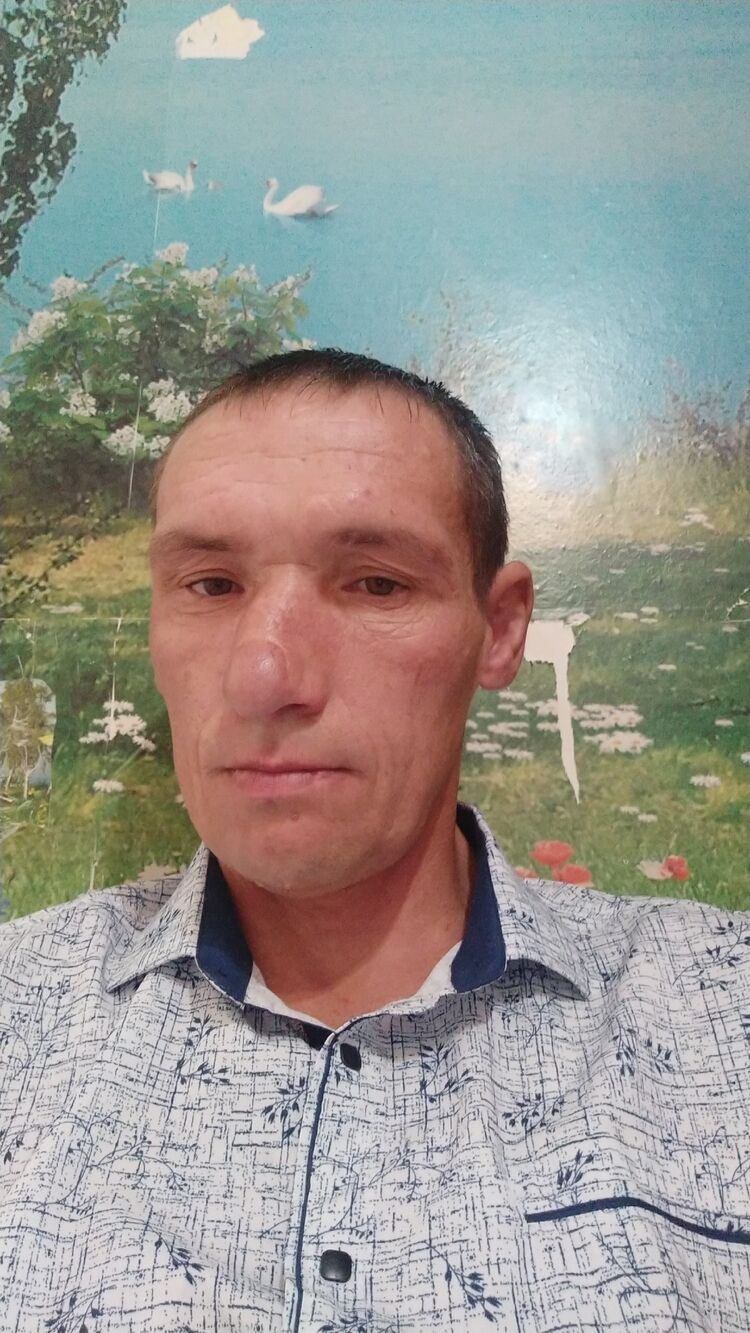  52426188  , 43 ,    