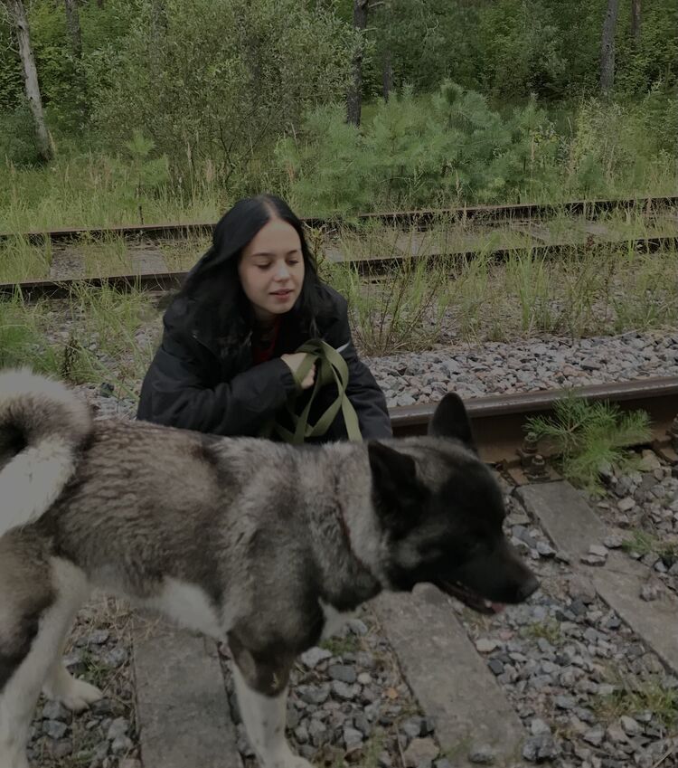 ���������� ������, ���� ������� ������, 20 ���, ������������ ��� ����� � ���������, ���������