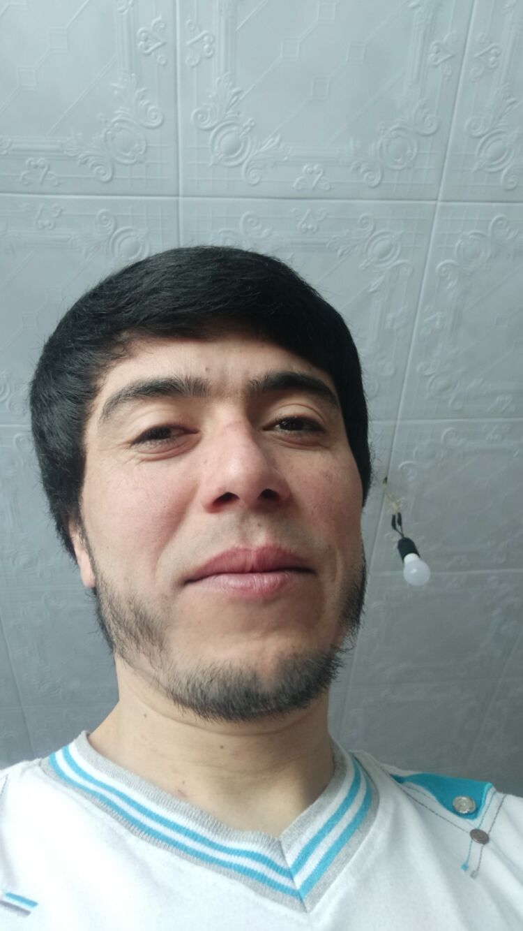 43119458  , 31 ,    
