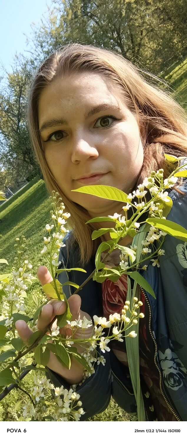  -,   , 29 ,   ,   