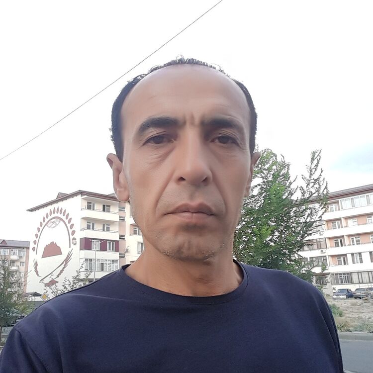  23512058  , 51 ,    