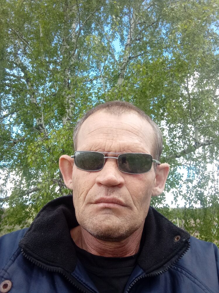  43056008  , 46 ,    